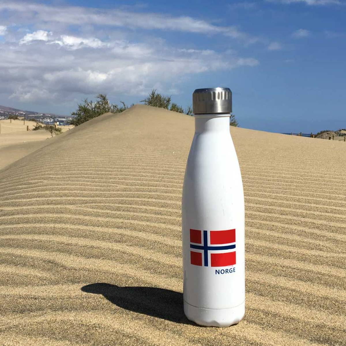 Vacuum flask with Norwegian flag