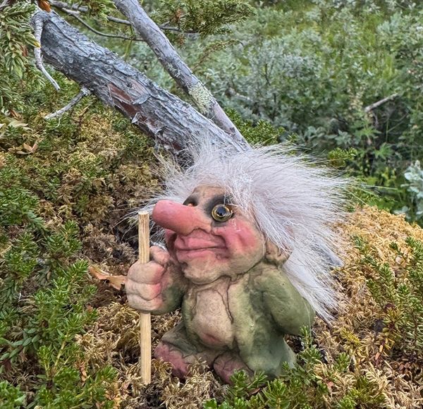 Main Image Troll, little wanderer (Troll # 132)